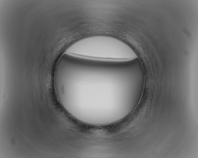 X0000113350689200909151026