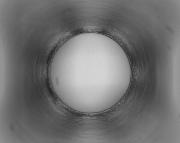 X0000113350690200909151026