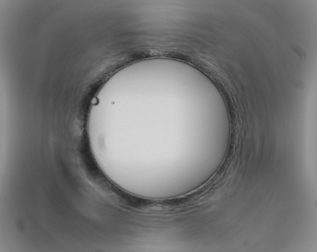 X0000113350691200909151026