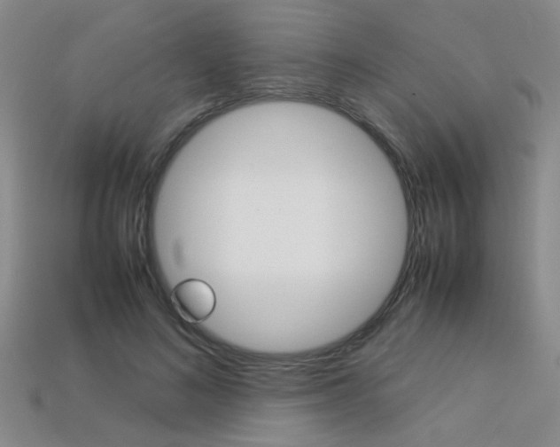 X0000113350692200909151026
