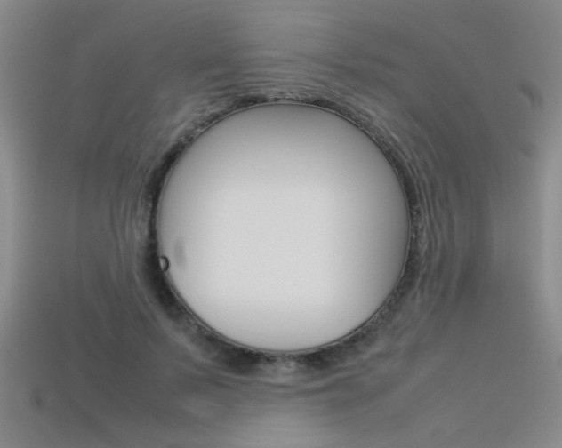 X0000113350695200909151026