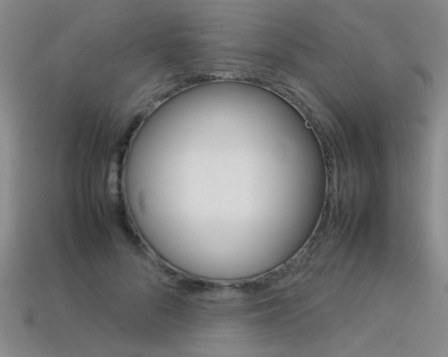 X0000113350696200909151026