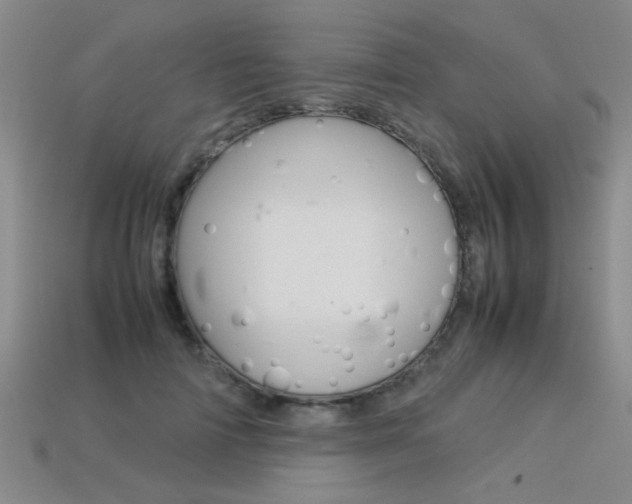 X0000113350698200909151026