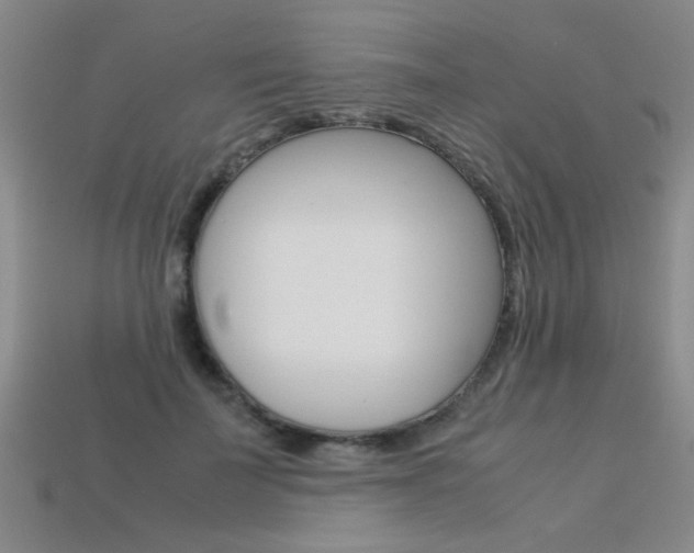 X0000113350699200909151026