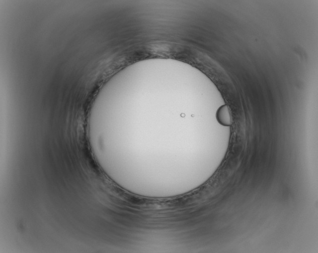 X0000113350702200909151026