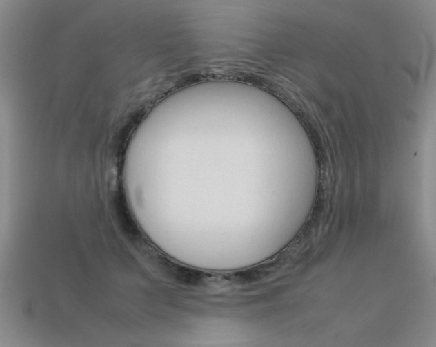 X0000113350703200909151026