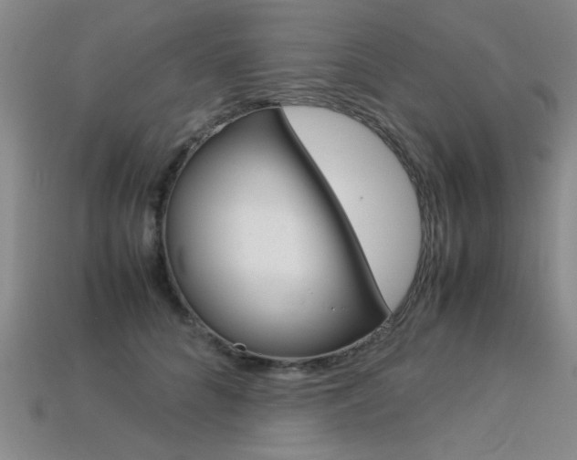 X0000113350704200909151026