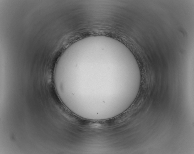 X0000113350706200909151026