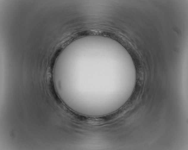 X0000113350707200909151026