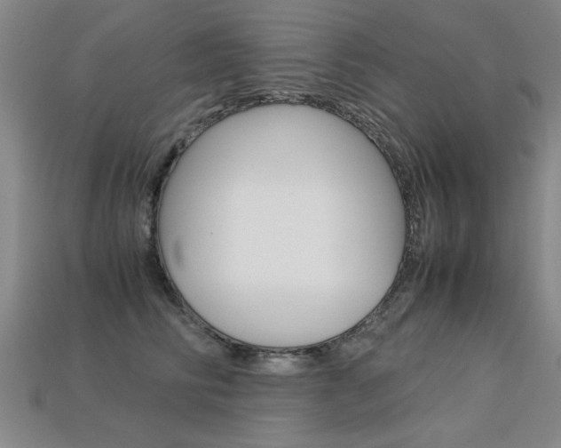 X0000113350710200909151026