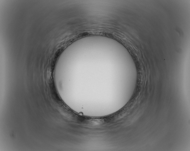 X0000113350711200909151026