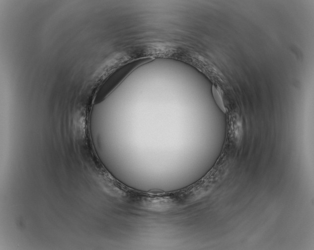 X0000113350716200909151026