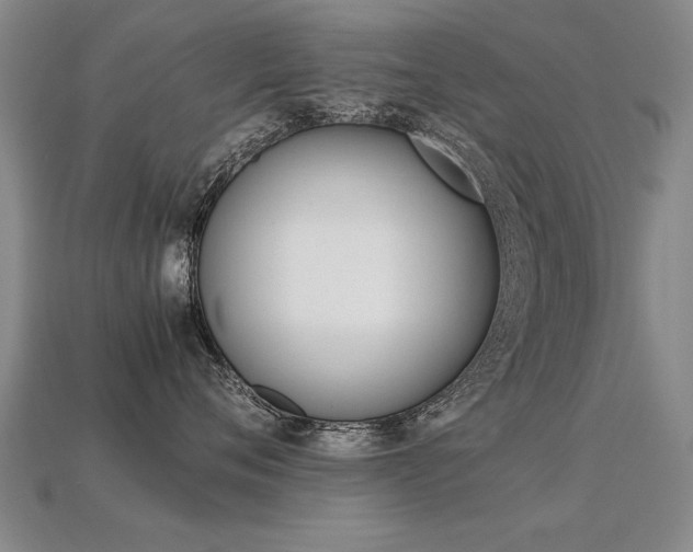 X0000113350720200909151026