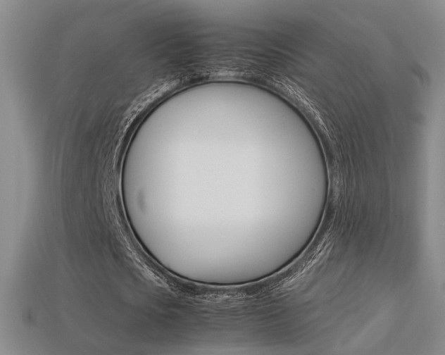 X0000113350721200909151025