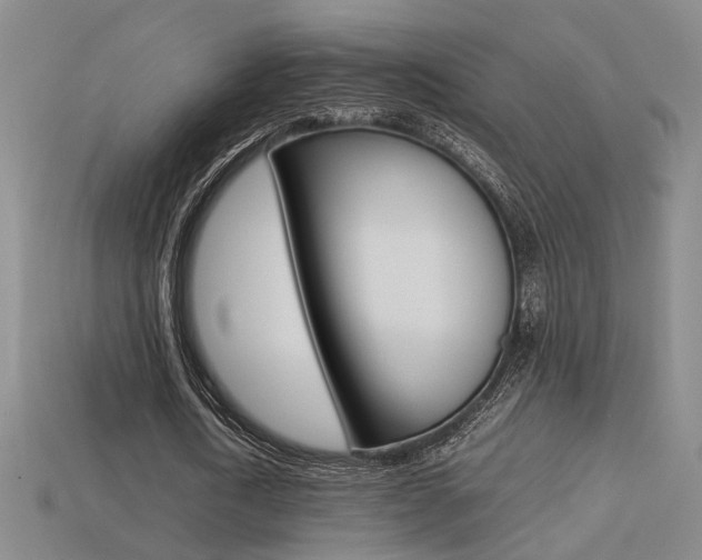 X0000113350722200909151025
