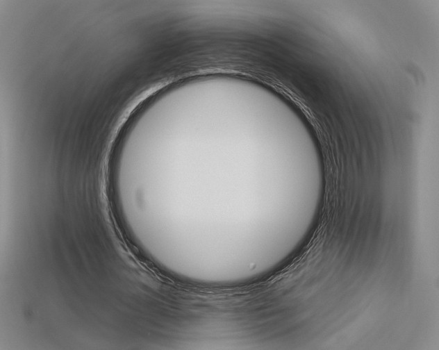 X0000113350724200909151025