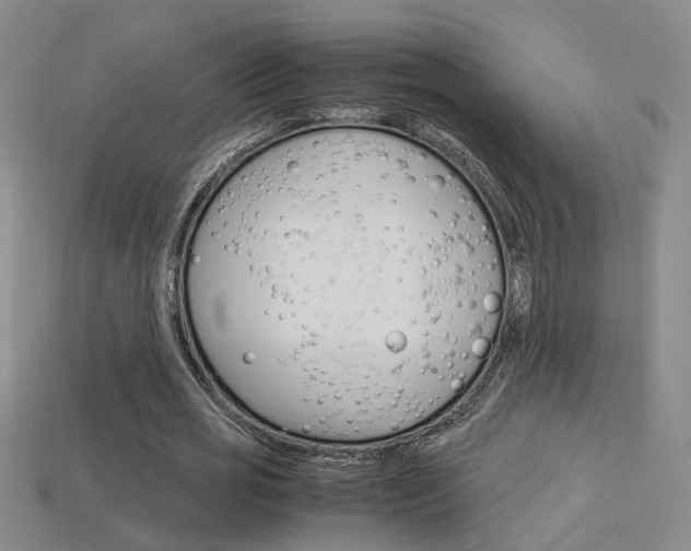 X0000113350725200909151025