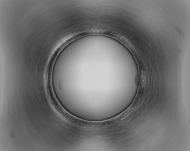 X0000113350726200909151025