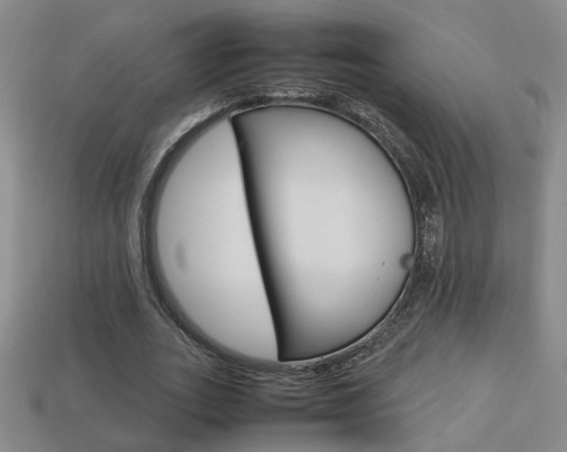 X0000113350727200909151025
