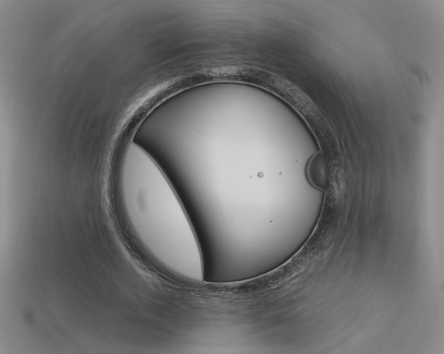 X0000113350728200909151025