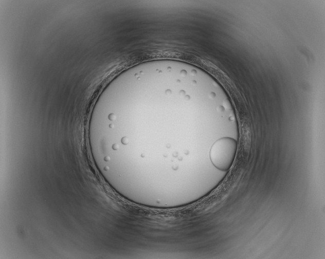 X0000113350729200909151025