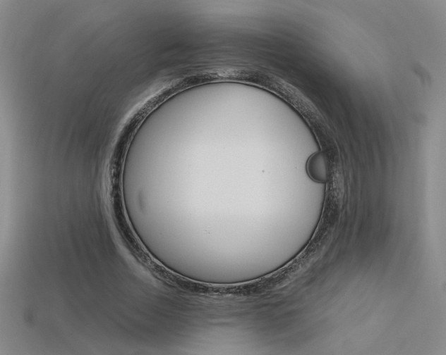 X0000113350730200909151025