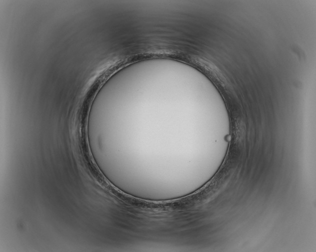 X0000113350731200909151025