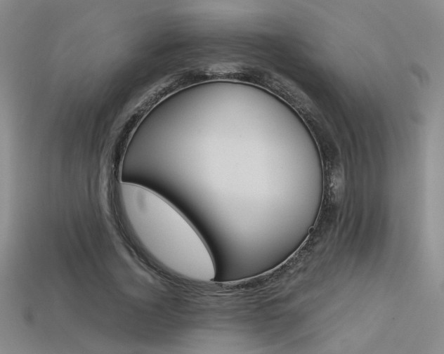 X0000113350732200909151025