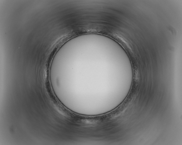 X0000113350733200909151025