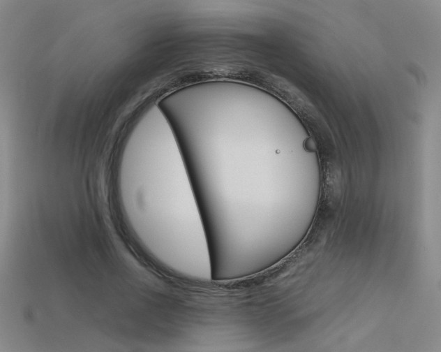 X0000113350734200909151025