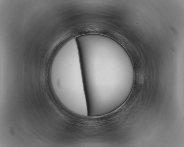 X0000113350735200909151025