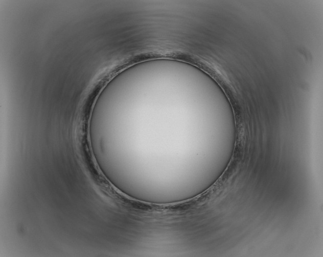X0000113350736200909151026