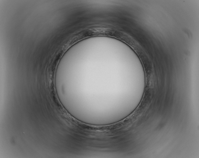 X0000113350737200909151026
