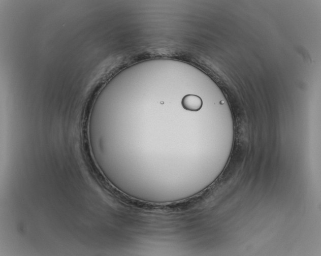 X0000113350738200909151026