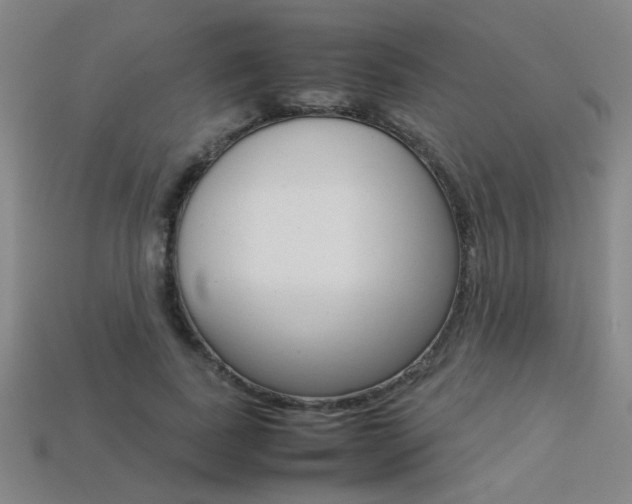 X0000113350739200909151026