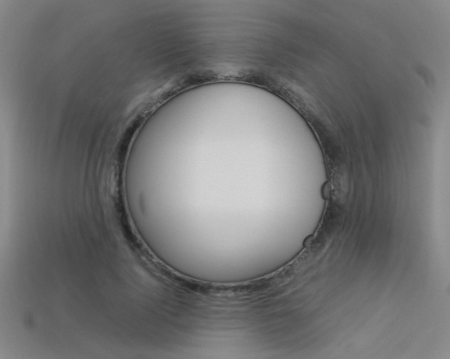 X0000113350740200909151026