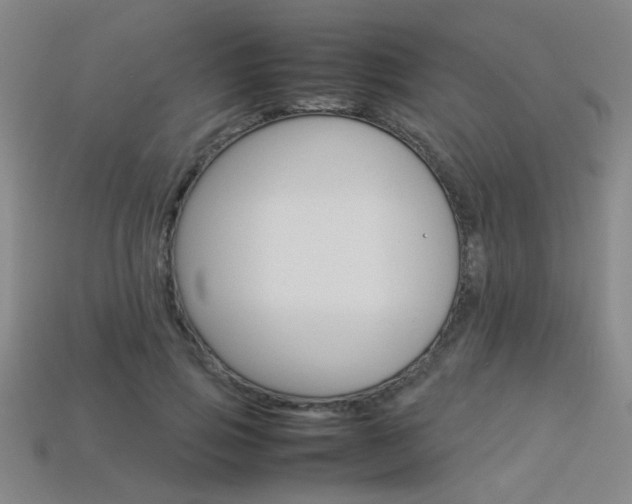 X0000113350741200909151026