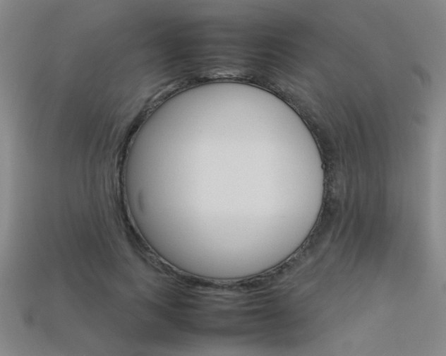 X0000113350743200909151026