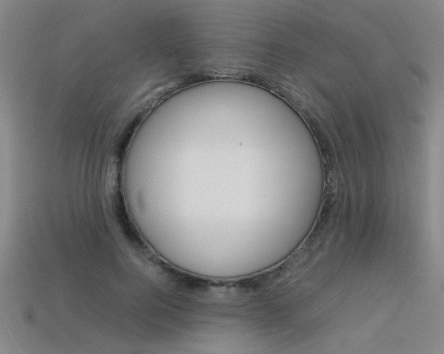 X0000113350744200909151026