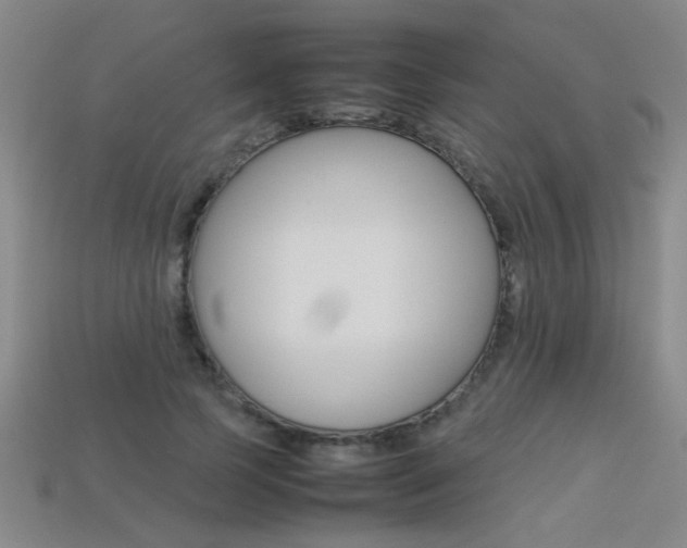 X0000113350745200909151026