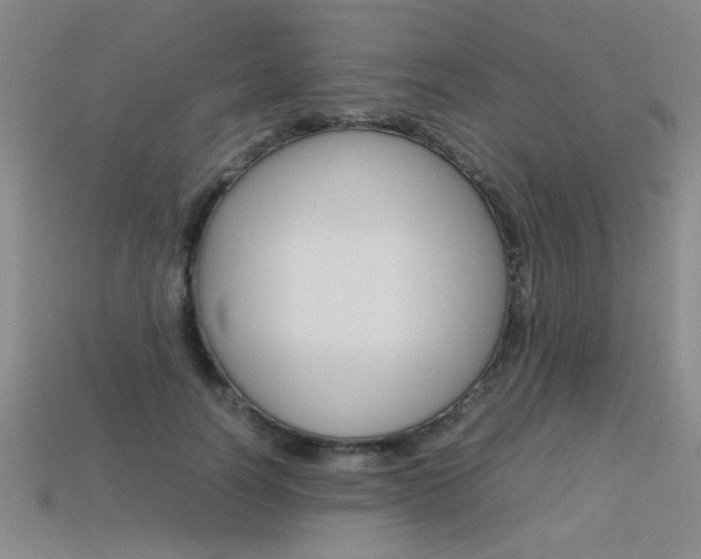 X0000113350746200909151026