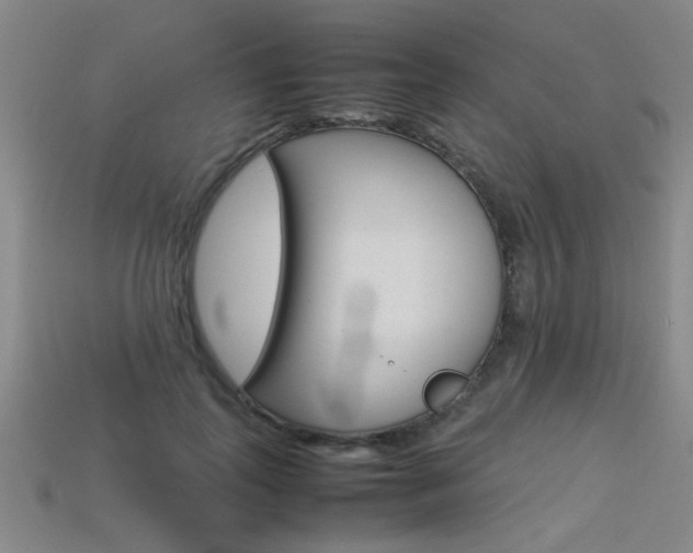 X0000113350747200909151026