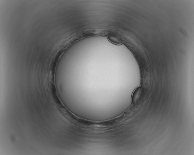 X0000113350748200909151026