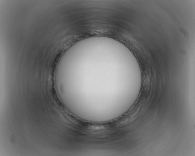 X0000113350749200909151026