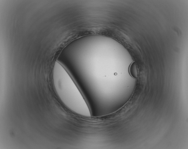 X0000113350750200909151026