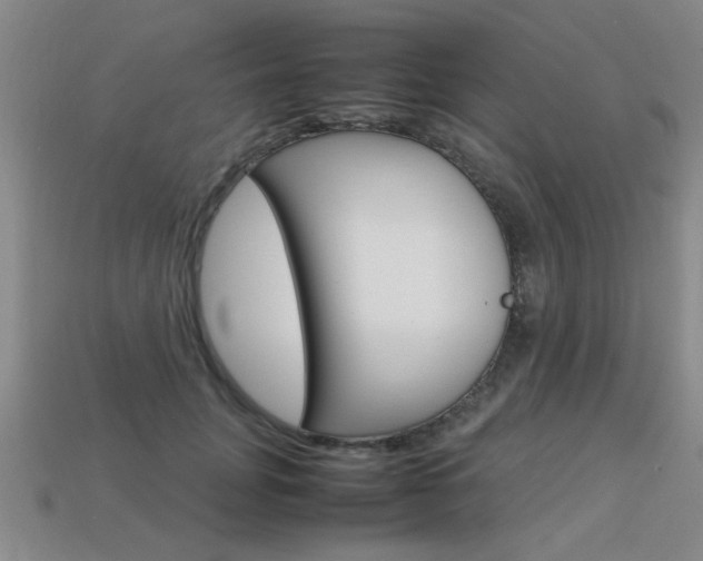 X0000113350751200909151026