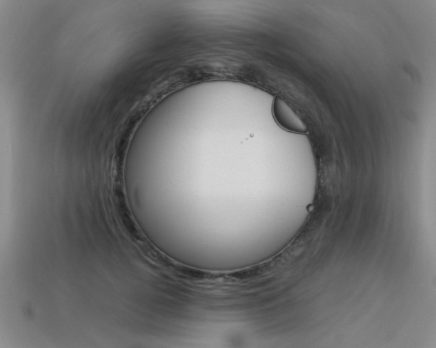 X0000113350752200909151026