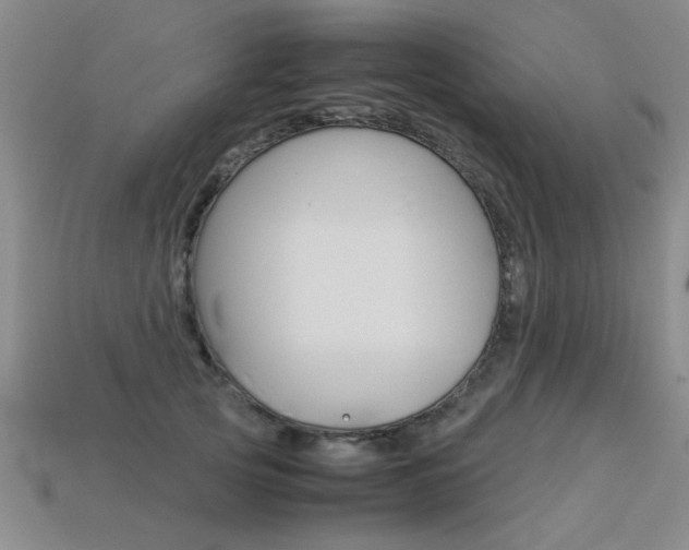 X0000113350753200909151026