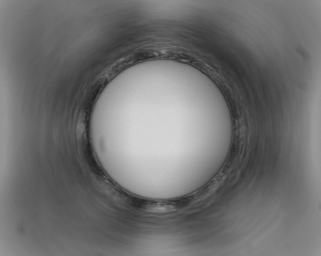 X0000113350754200909151026