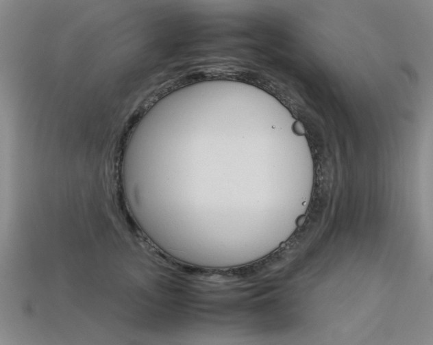 X0000113350755200909151026